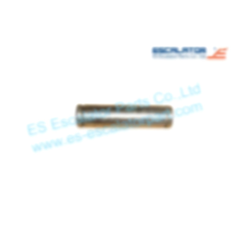 ES-SC119 Escalator Axis 14.5*60mm