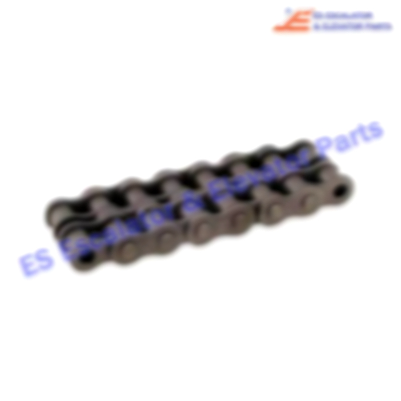 16A-2F Escalator Main Drive Chain