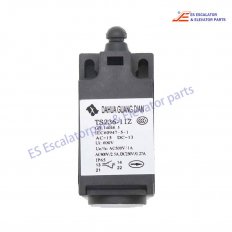 <b>NZ-TS236-11Z Elevator Limit Switch</b>