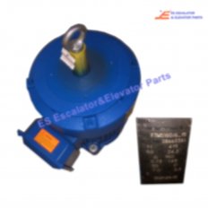 FTMS160/6-15 Escalator Drive Motor