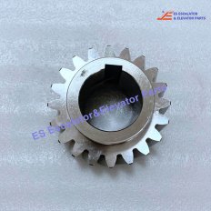 70065200 Escalator Gear