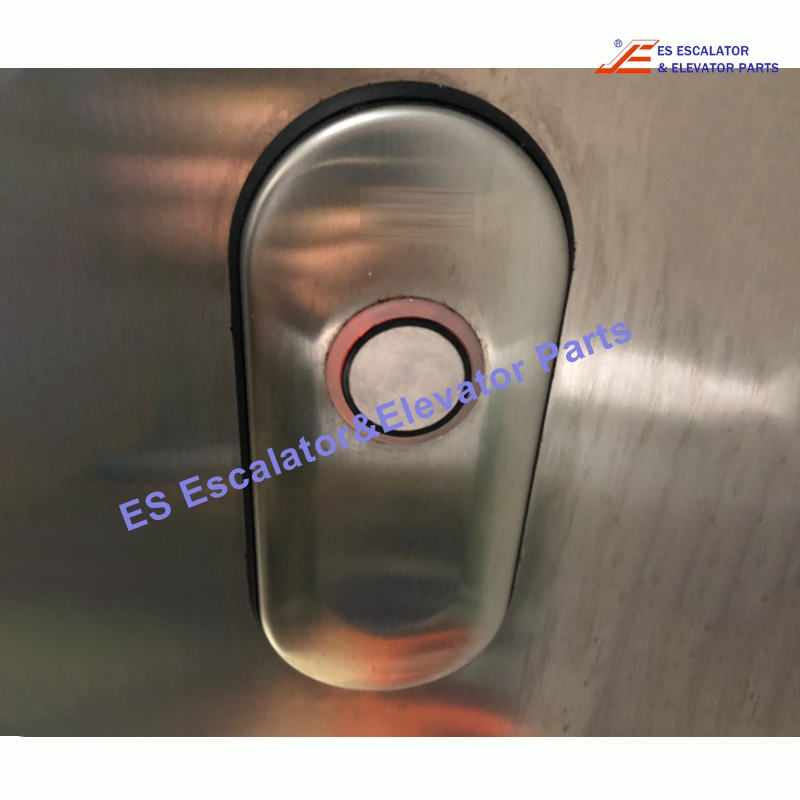 262H0306 Elevator Push Button Use For Kone