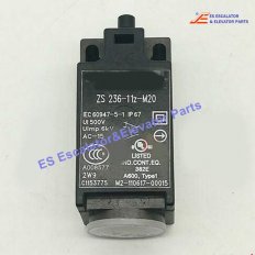 <b>ZS 236-11Z Elevator Limit Switch</b>