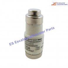 D02GG40V25 Elevator Fuse