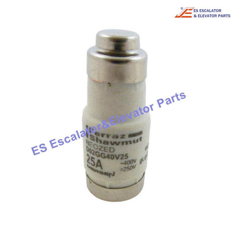 D02GG40V25 Elevator Fuse 25A Use For Other