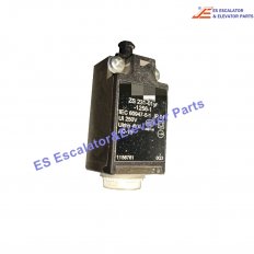 ZS231-01yr-1256-1 Elevator Limit Switch