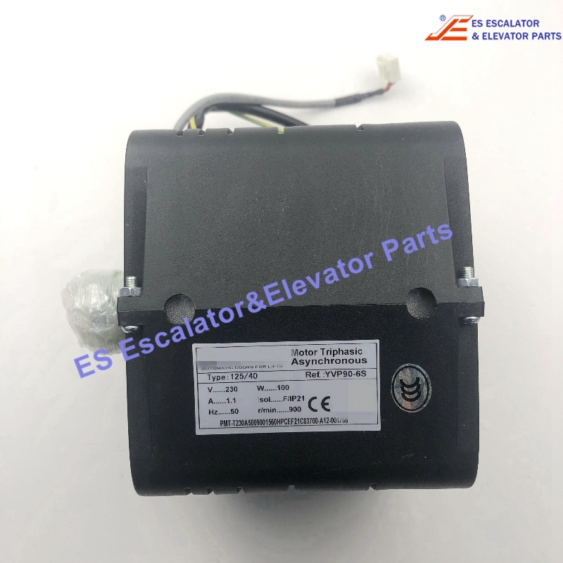 PMT-VF00.C0000 Elevator Motor Use For Fermator