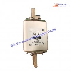 R1385900 Elevator Fuse